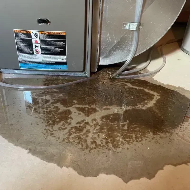 Appliance Leak Cleanup in Rolla, MO